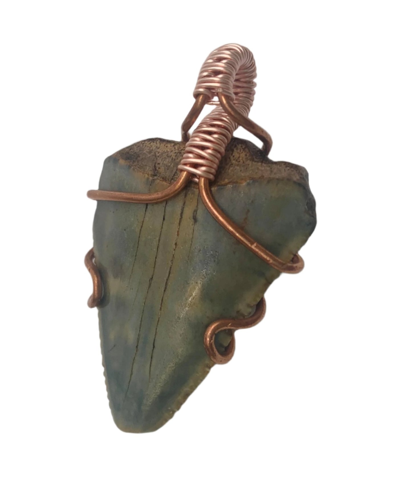 Megalodon Necklace #3