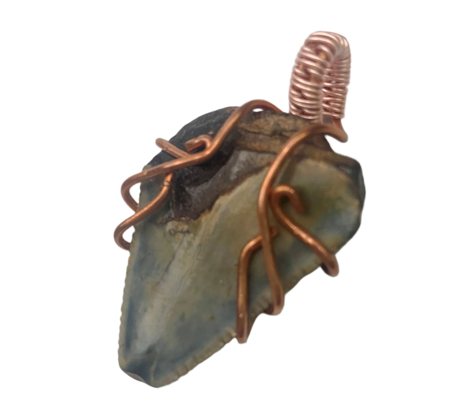 Megalodon Necklace #3